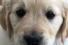 Foto-23.09.20-10-11-53